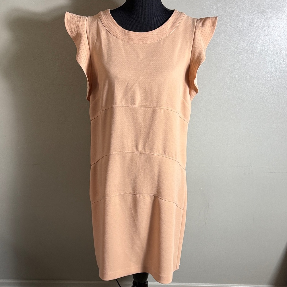 Ann Taylor Peach Ruffle Cap-Sleeve Shift Dress Sz 14 NWT